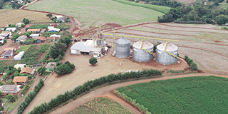 Bela Vista da Caroba - Cereais